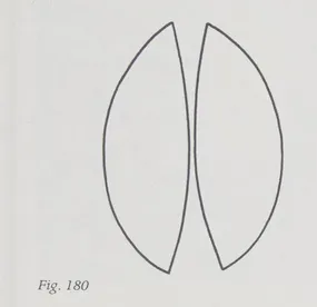 The shape of elbow patches, like 2 half-circles with small pizza slices taken out between them. Goldsworthy 1979